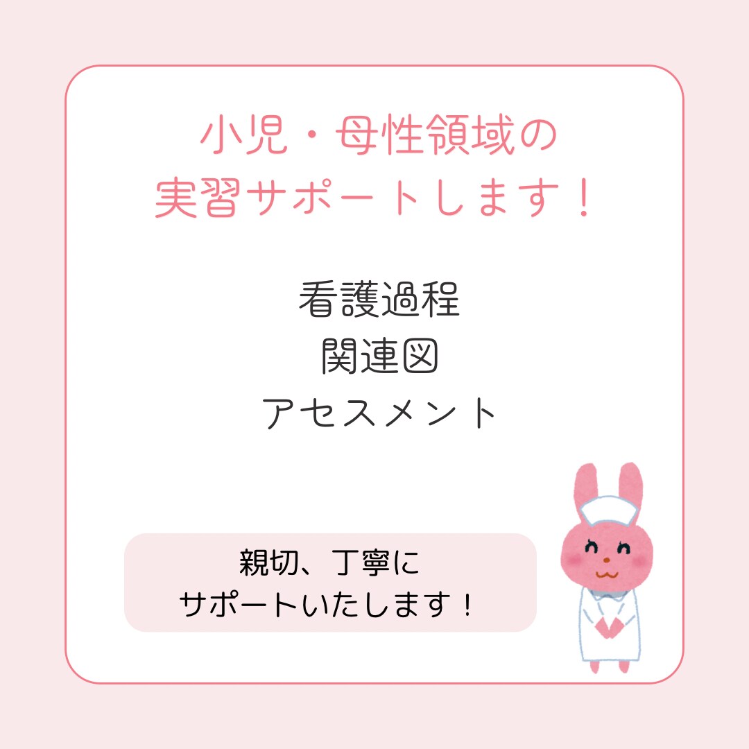 小児科現役看護師が実習のサポートをします 小児科看護師があなたの実習記録、看護過程をサポートします！ イメージ1