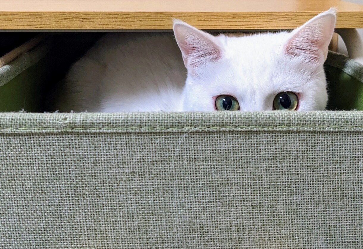 心のモヤモヤお聴きします なんだか分からないけど、あの事が頭から離れない……。 イメージ2