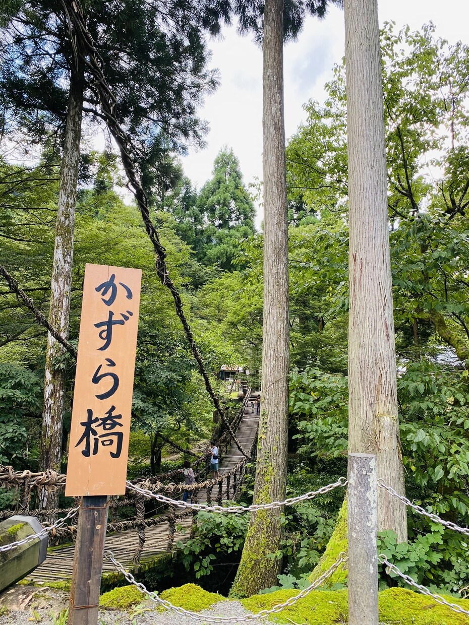 お子様 ご家族も満足‼︎福井県旅行デザインします ふくいブランド大使 たっちゃんが福井県旅行デザイン致します イメージ2