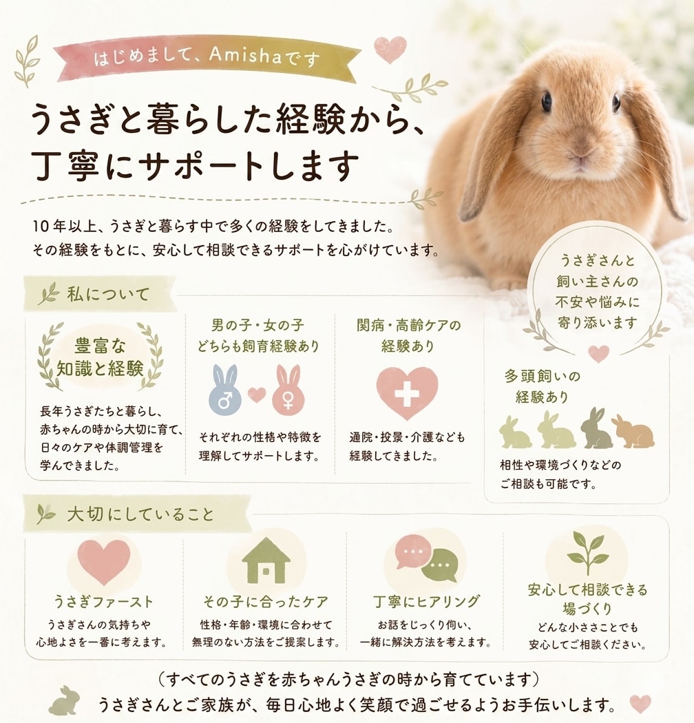 食欲・ケア・性格等、うさぎ飼育のお悩み相談受けます 初心者さんから、長年一緒に暮らす方まで、丁寧に相談受けます イメージ3
