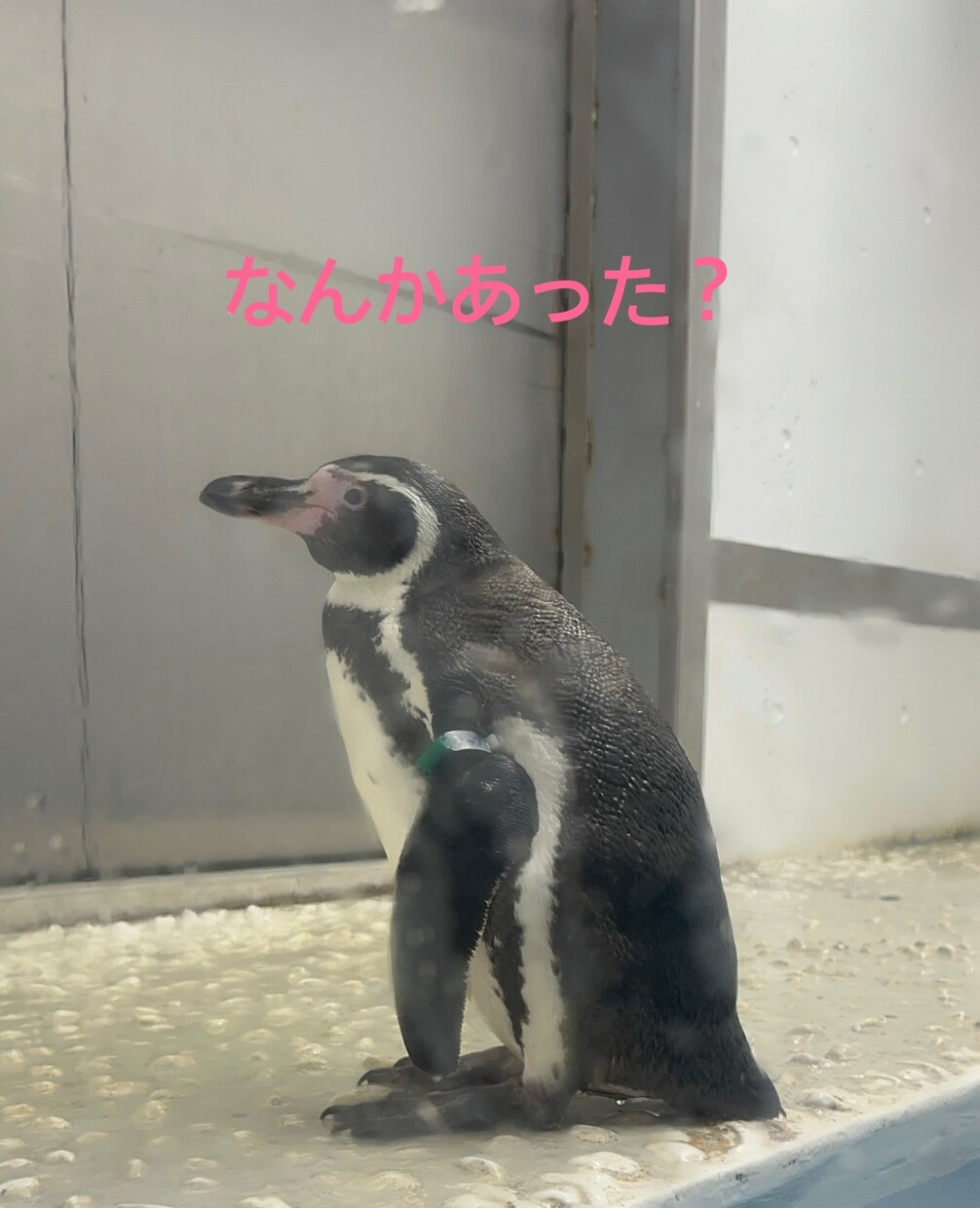 関西弁がいいよって方には関西弁で話します 優しい関西弁でお話しします╰(*´︶`*)╯♡ イメージ5