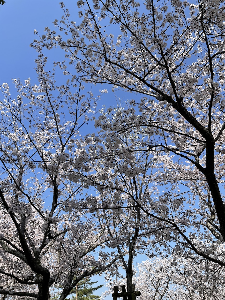 肩の重荷、軽くします 共有して一緒に考えましょう！きっと大丈夫ココナラ！ イメージ1