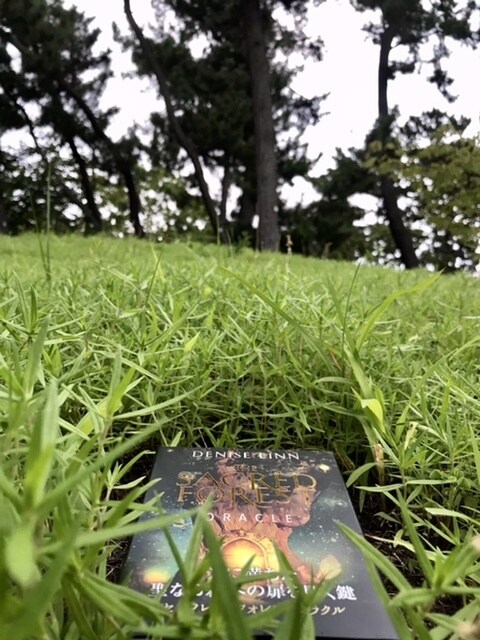 寂しい・辛い・愚痴・自慢・嬉しい全て聞きます あなたの心に明かりを灯し、光溢れる一日にさせて下さい！ イメージ1