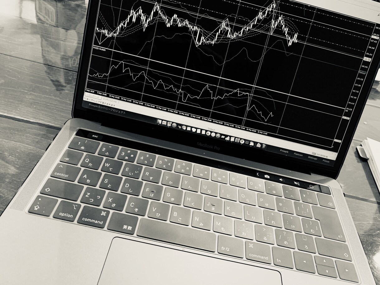 FX [独自構築] 運用サポート致します [FX] 手法公開サービスの追加サポートページです イメージ1