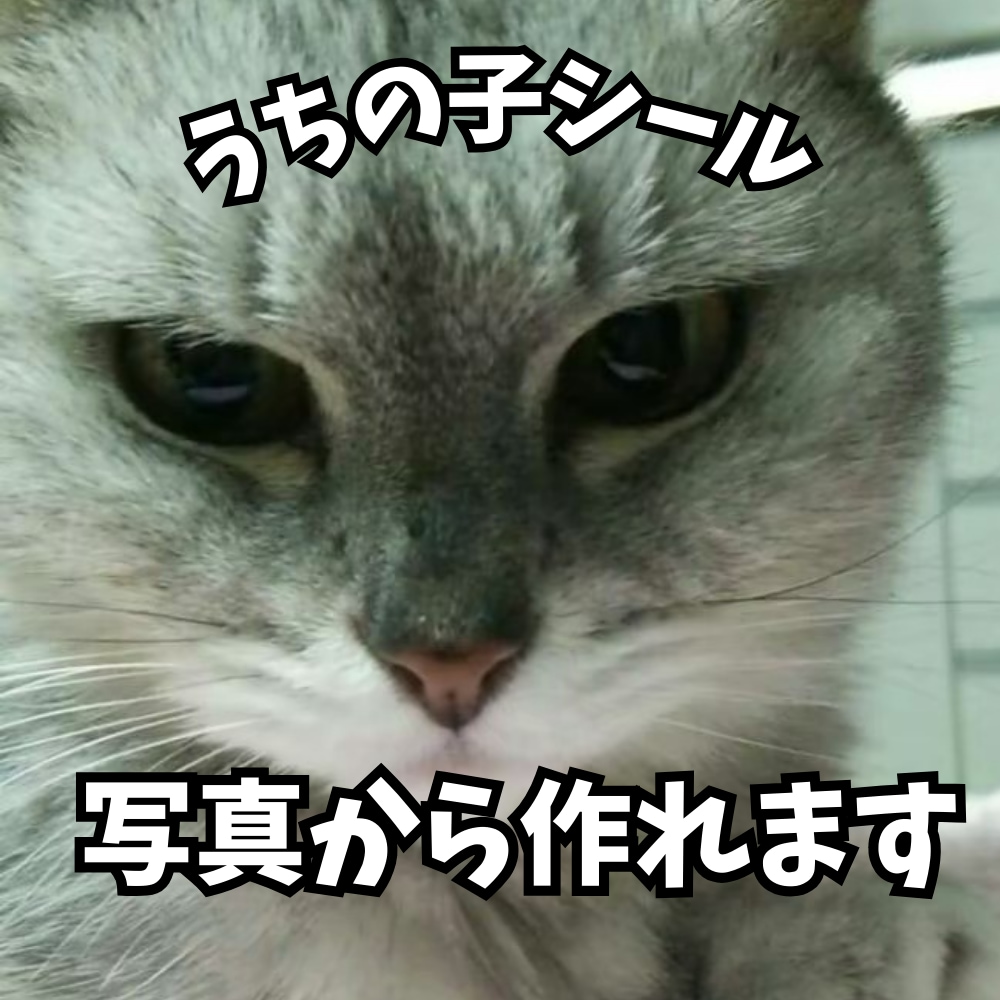 ペット写真でオリジナルシールデザイン作ります ☆お気に入りの写真で世界に一つのシール！ イメージ1