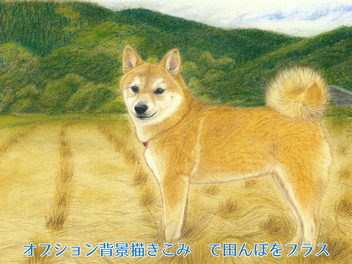 優しい雰囲気のペットのイラストをお描きします A4サイズ｜色んな背景もかけます♫ イメージ5