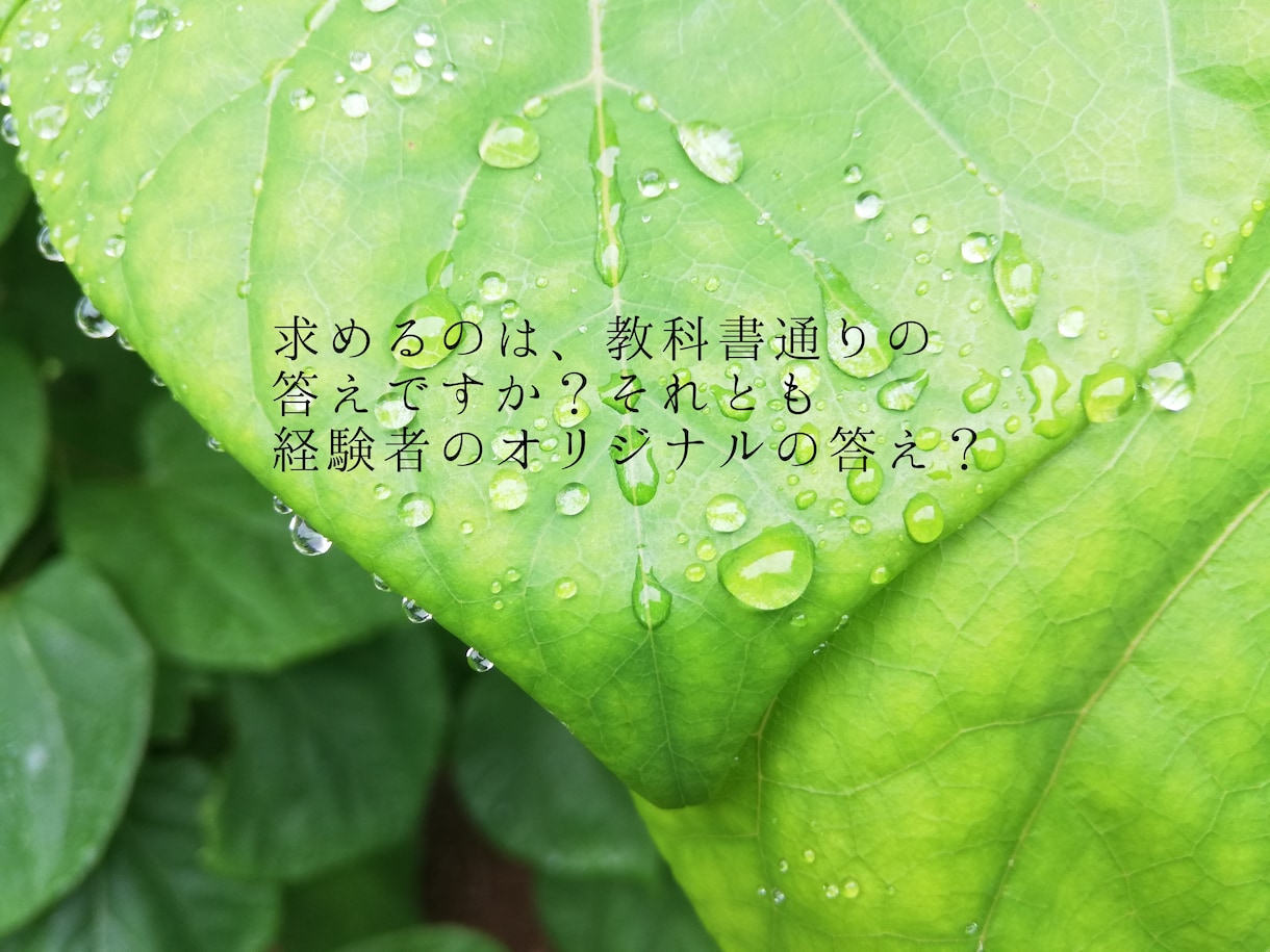 パワハラで会社に行く足が止まってます 明日を考えたら、日が終わるのが怖い。また明日がくる……… イメージ10