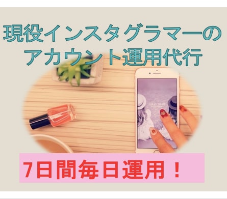 現役インスタグラマーがコンサル＆運用代行します 短期間でフォロワーを増やしたい方必見！お試し７日間！ イメージ1