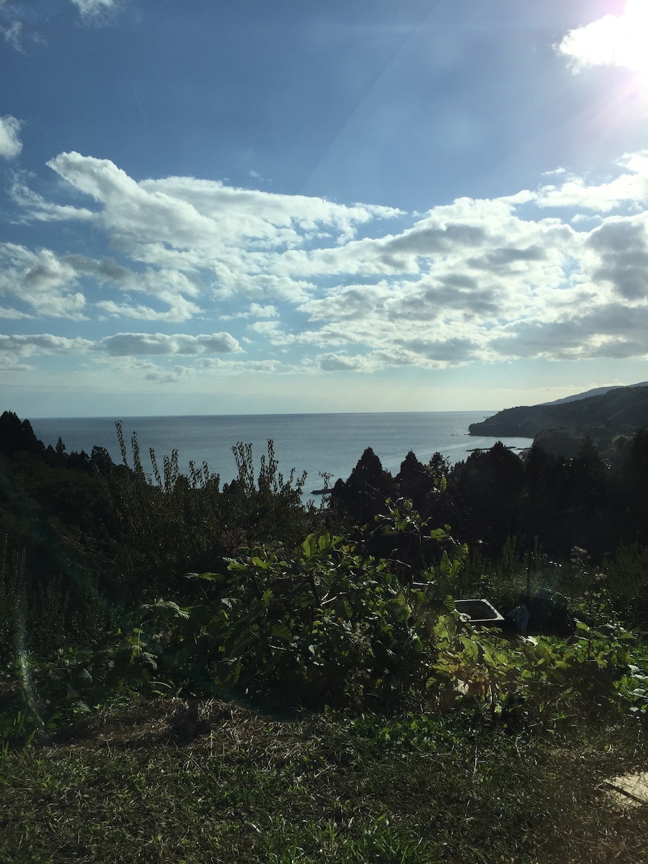 1週間佐渡島の自然豊かな写真を届けます。普段味わうことのない田舎ならではの自然を感じて頂きたいです。 イメージ1