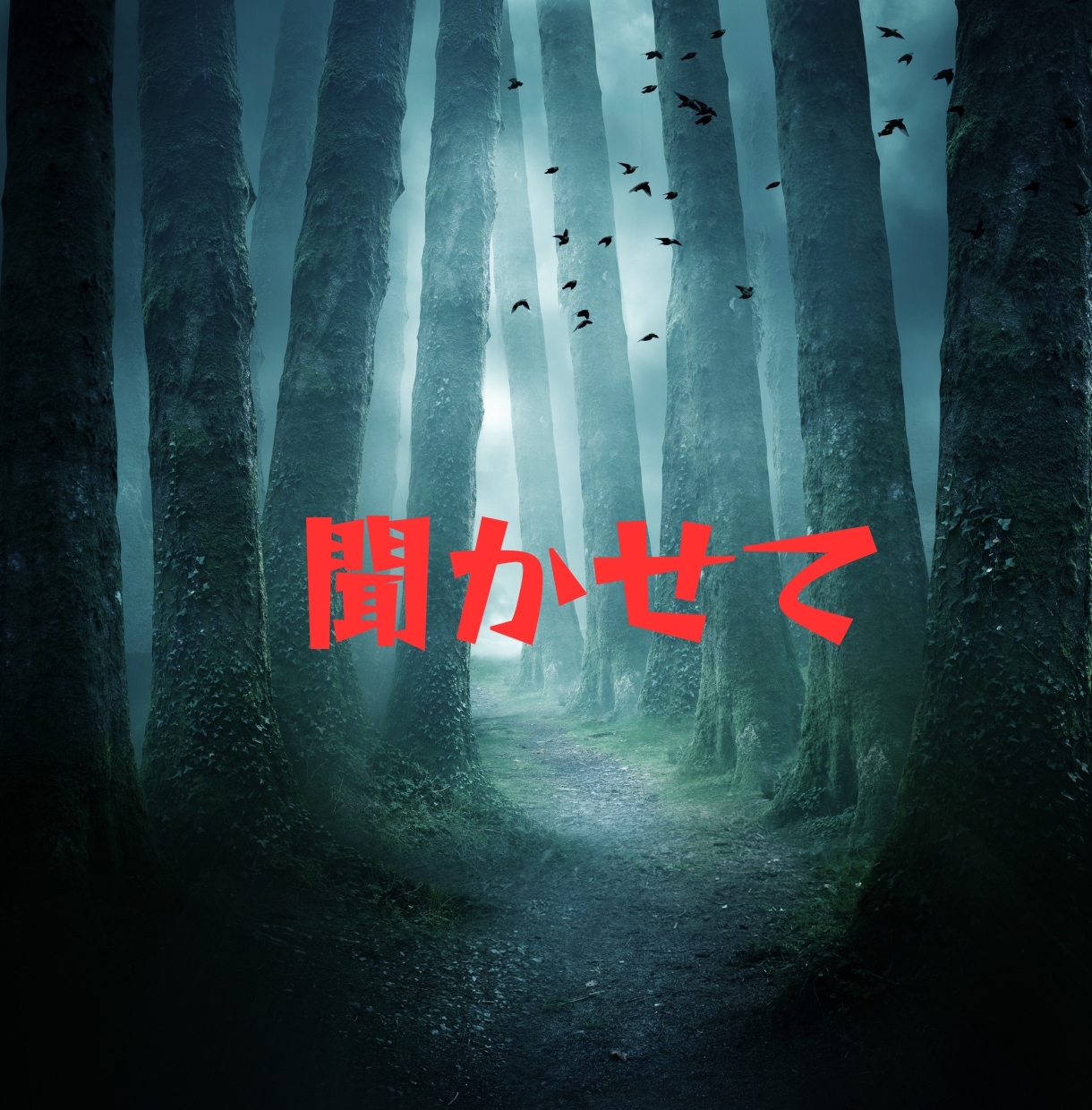 都市伝説？陰謀論？不思議体験？一緒に語ります 周りに話せない不思議な話や怖い体験、じっくりお聞きします イメージ3