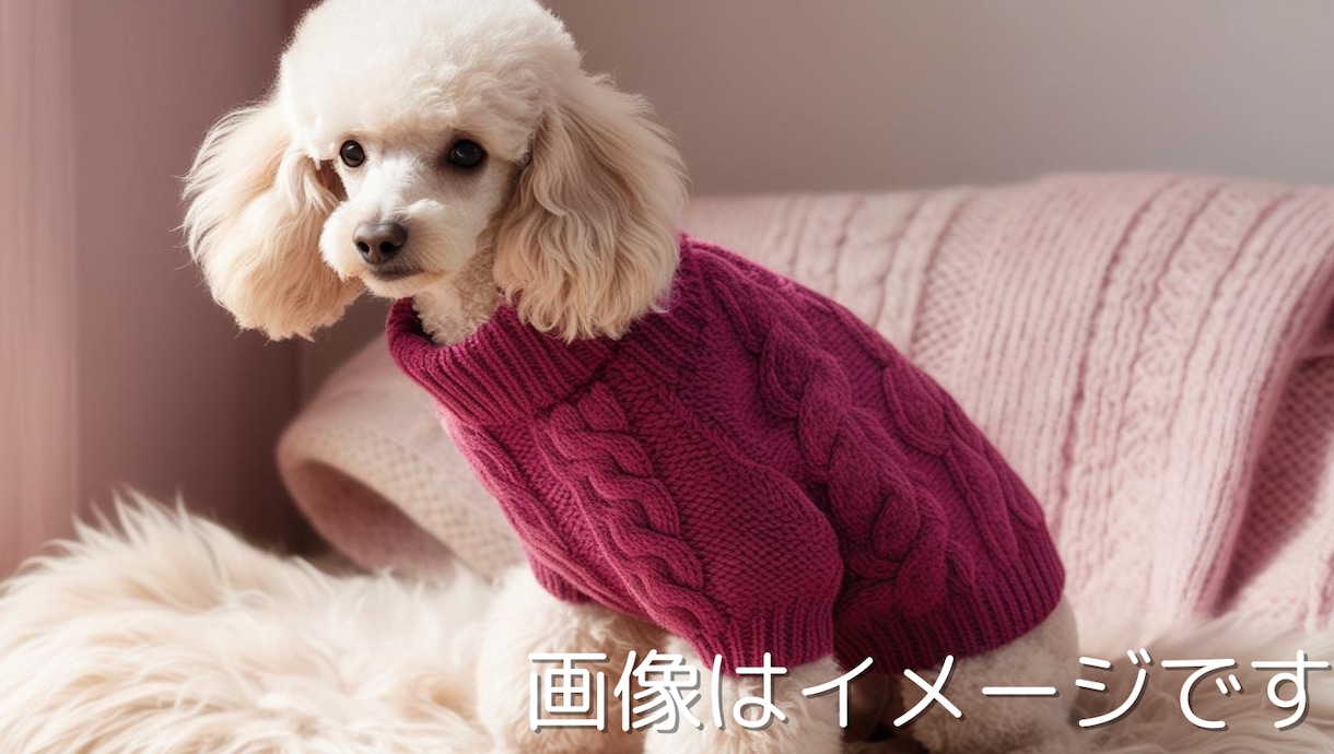 あなたの愛犬にぴったりの編み図を作ります 愛犬にぴったりのセーターが編めるようお手伝いします！ イメージ1
