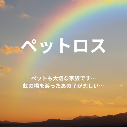 ペットロスの悲しみに寄り添います ペットも大切な家族♡虹の橋を渡ったあの子にもう一度逢いたい。 イメージ1