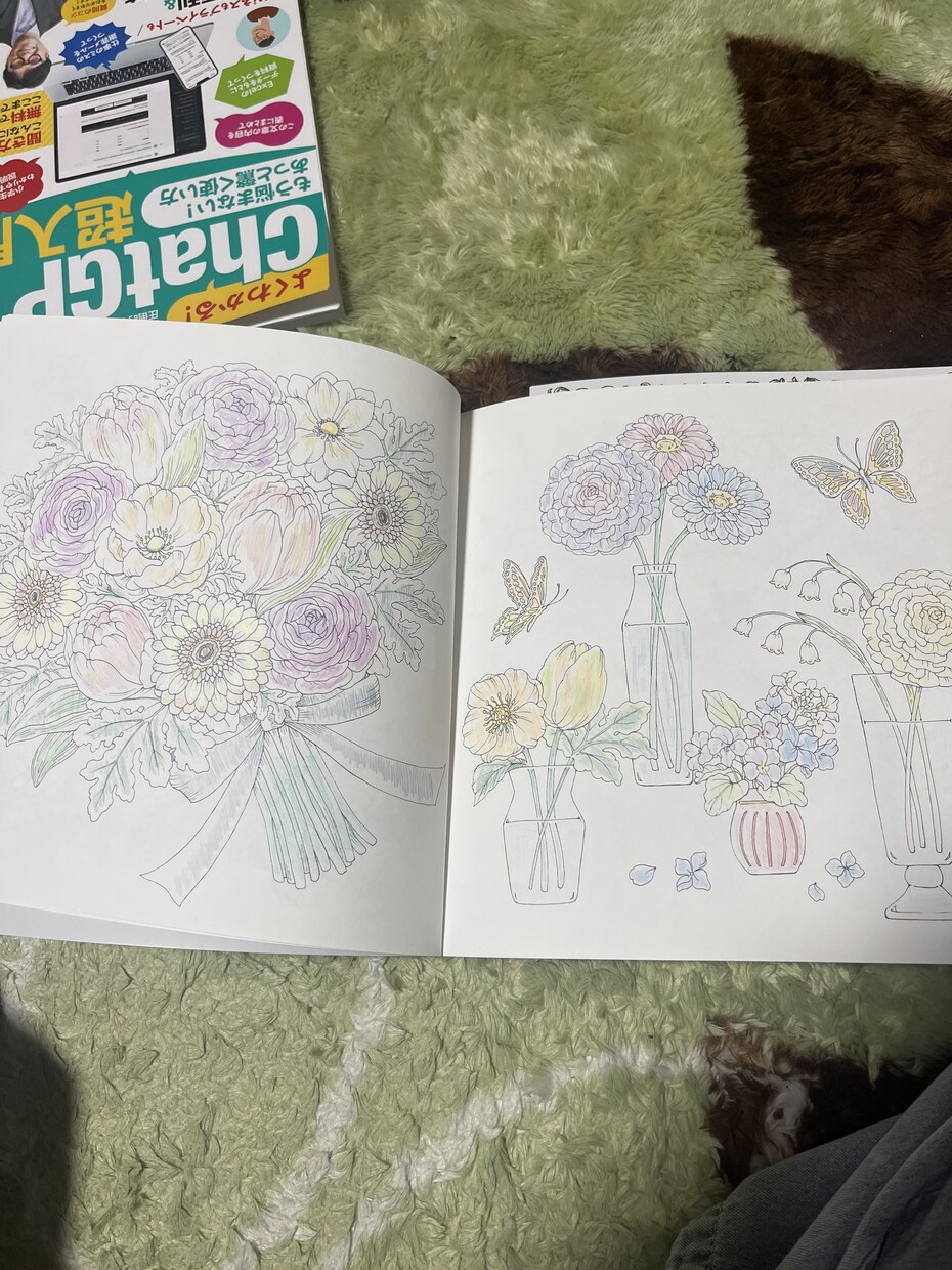 色鉛筆色塗り代行します 初級から難級おまかせあれ！めんどくさいを代行致します。 イメージ3