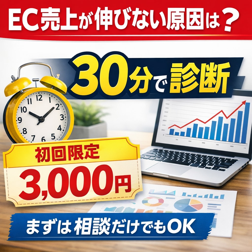 ECが伸びない原因を特定し【限定3,000円】ます 原因を30分で特定します【初回限定3,000円】 イメージ1