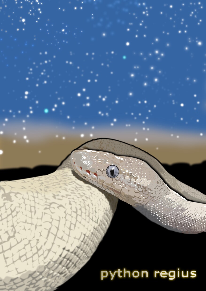 ペットイラスト制作致します アート風のペットイラスト！ご希望に沿った作品を納品します イメージ5