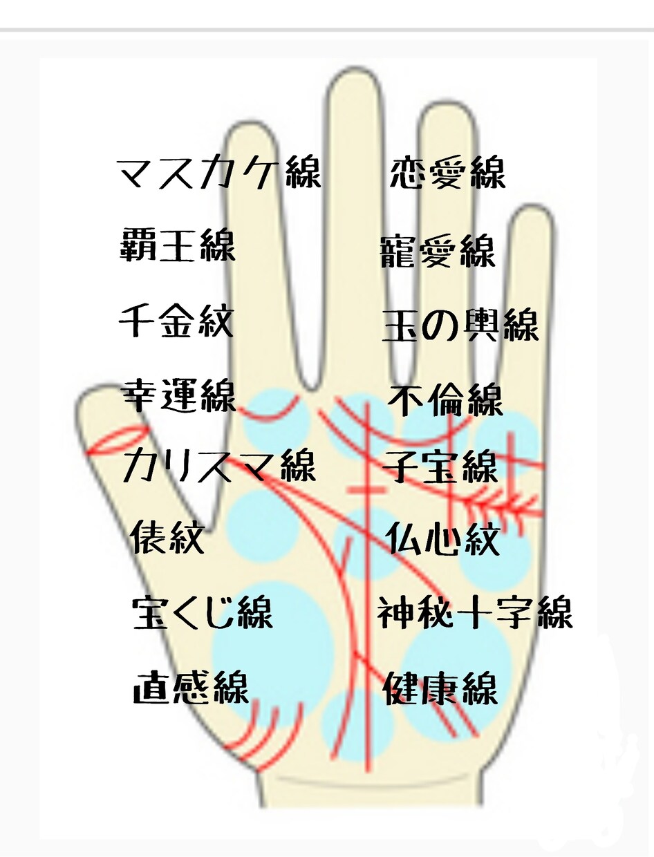 手相を中心に総合鑑定いたします 手相、四柱推命、タロット、姓名判断、占星術等、多角的に鑑定