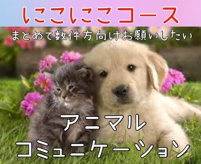 通常版♪あなたの可愛いペットちゃんとお話しします ペットも家族♪どんなこと考えているのか知りたくありませんか？ イメージ1