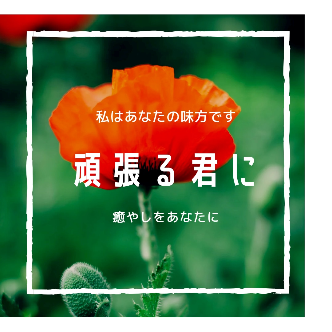 コロナ禍でのお悩み、愚痴、お聞きします 仕事や家族、ギスギスしていませんか？心のゆとりを取り戻して イメージ1