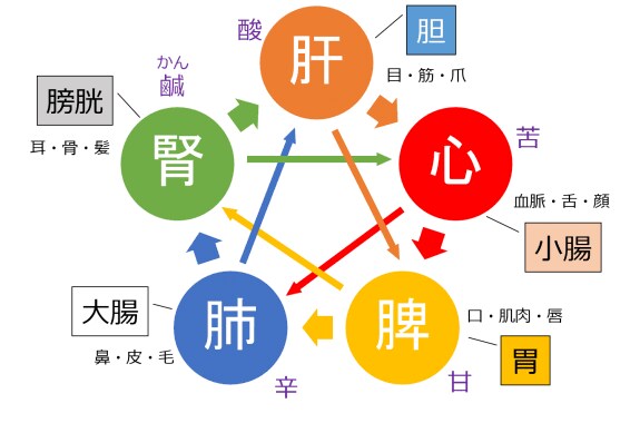 鍼灸師が身体のことや健康相談に乗ります 東洋医学の専門家があなたの身体を分析！ イメージ1