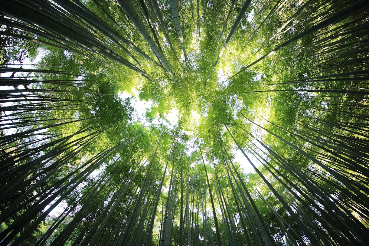 あなたのデートプランを一緒に考えます デートに不安や疑問がある方へ。話してかいしょうしませんか？ イメージ2
