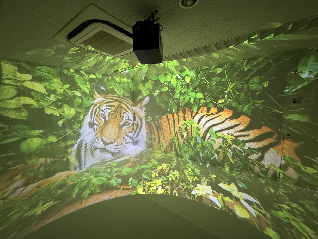 VRゴーグル不要の全員参加型VRを提案します 360°動画再生に最適なVRプロジェクターを使用したイベント イメージ2