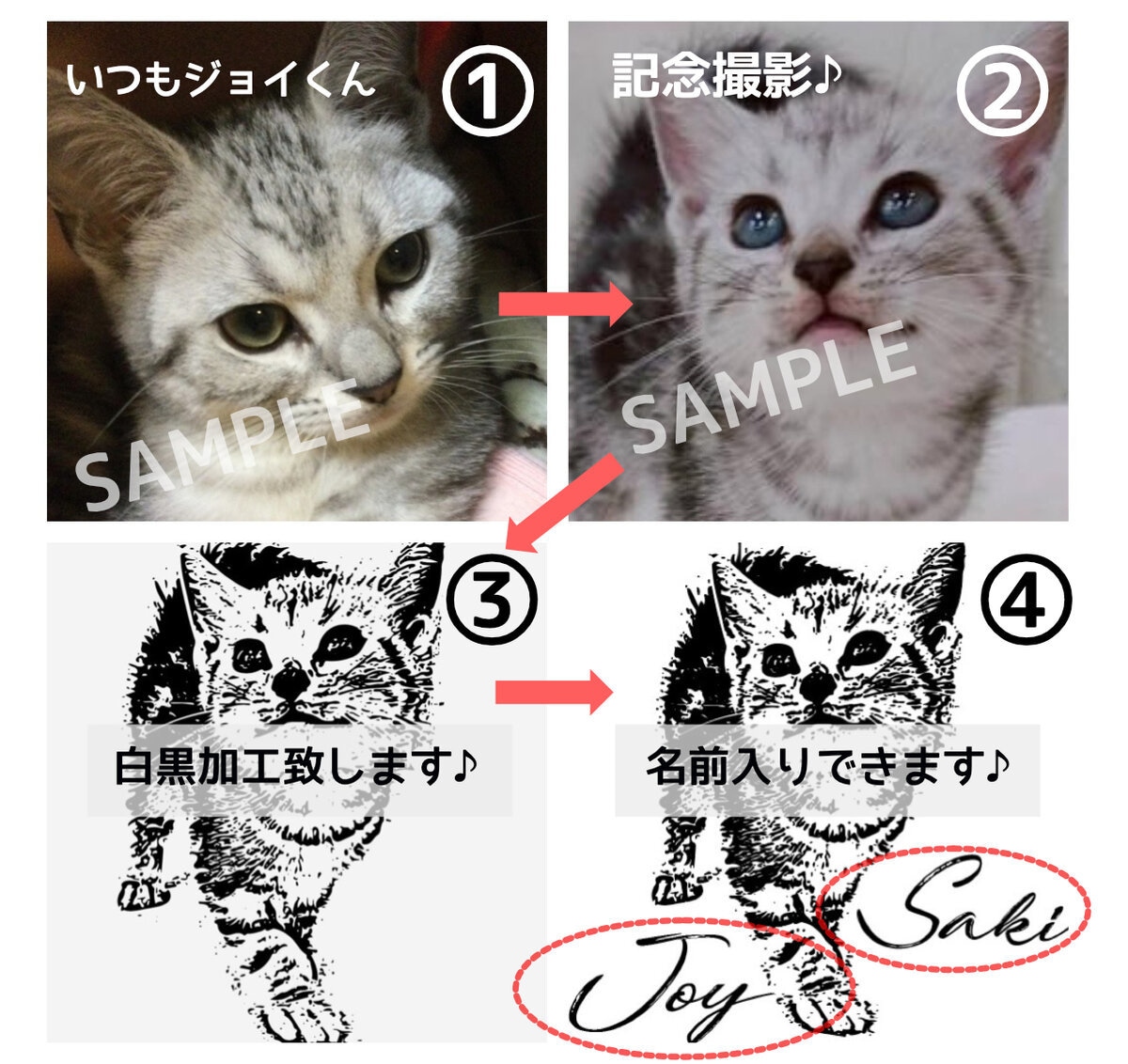 愛猫・愛犬・愛鳥…オリジナルペットスタンプ作ります やっぱりうちの子！フルオーダーペットスタンプ作成 イメージ3