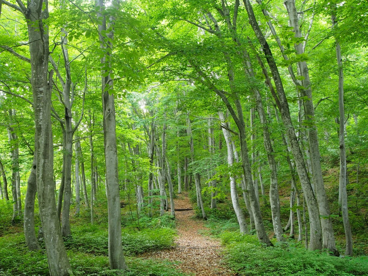 愚痴・恋愛話、些細な事でも聞きます 褒めて欲しい人、ただ聞いて欲しい、話し相手が欲しい方どうぞ！ イメージ1