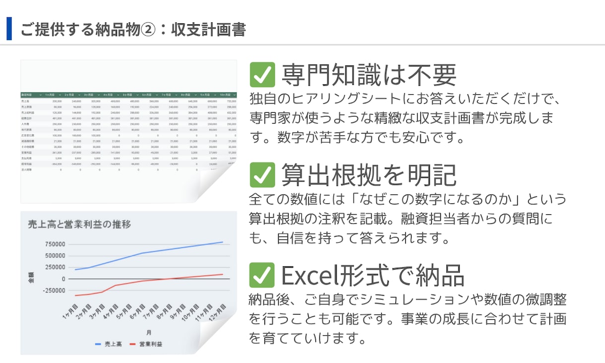融資・補助金対応の事業計画書を作成します 元銀行員の知見を学習したAIが、あなたの事業を形にします イメージ6