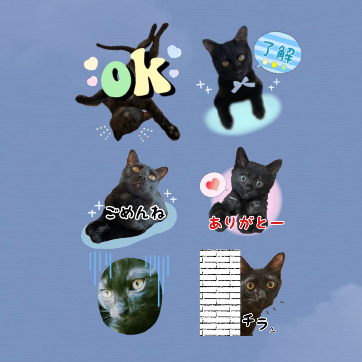 LINEオリジナルスタンプを作成します ご家族やペットちゃんのポップでかわいいスタンプを作成します。 イメージ1