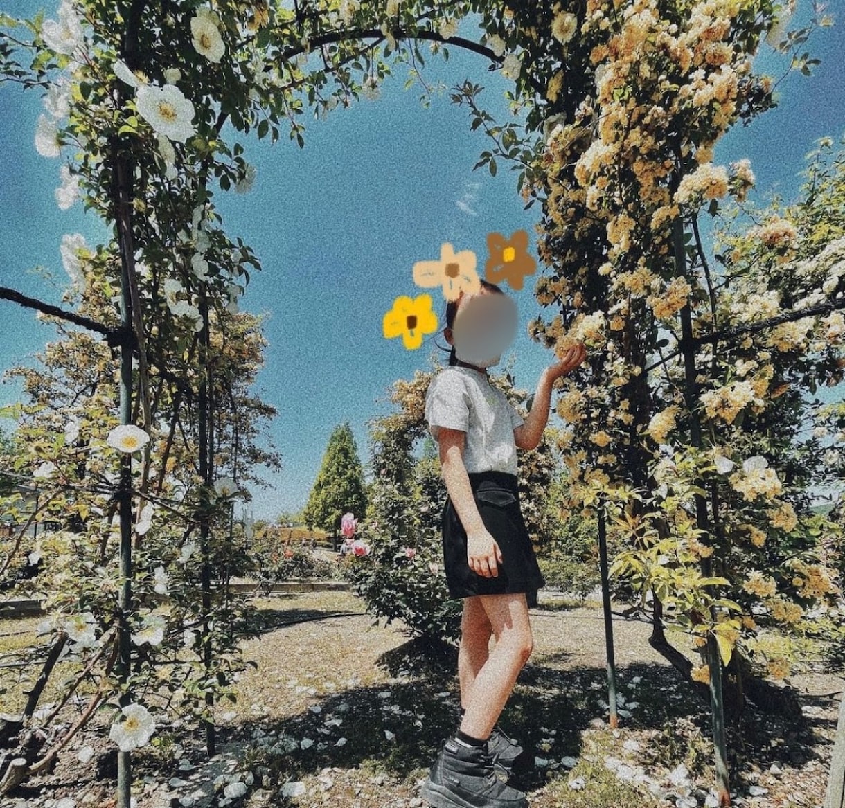 あなたの撮った写真を素敵な写真にします 思い出の写真にひと手間加えて映えさせます イメージ3
