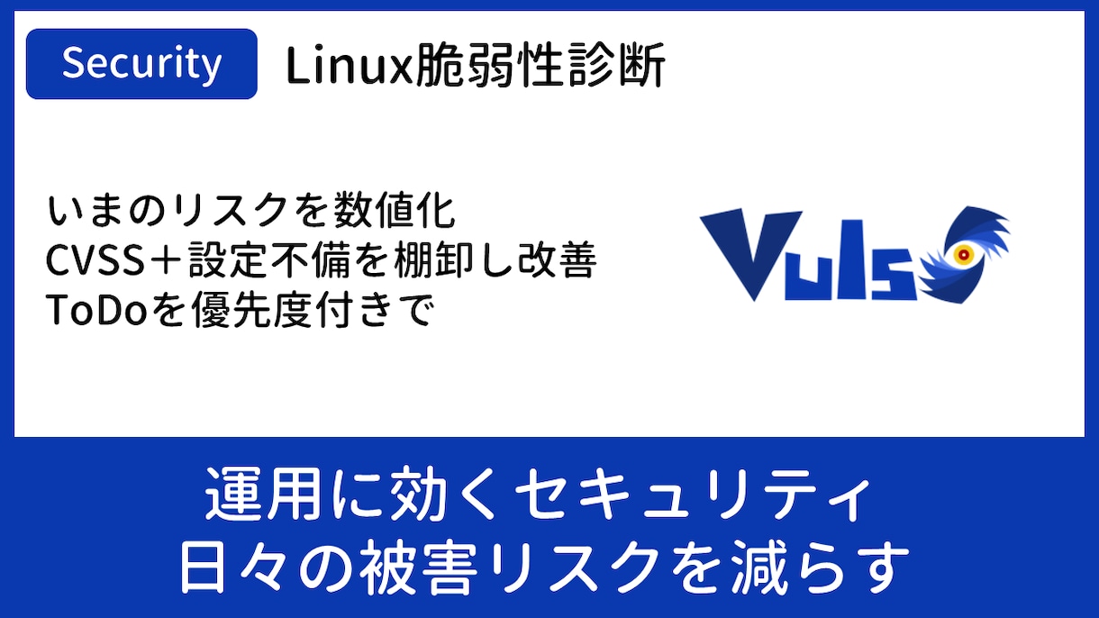 Linuxサーバの脆弱性を可視化し改善提示します “今のリスク”を数値化。棚卸し＆是正方針まで。 イメージ1