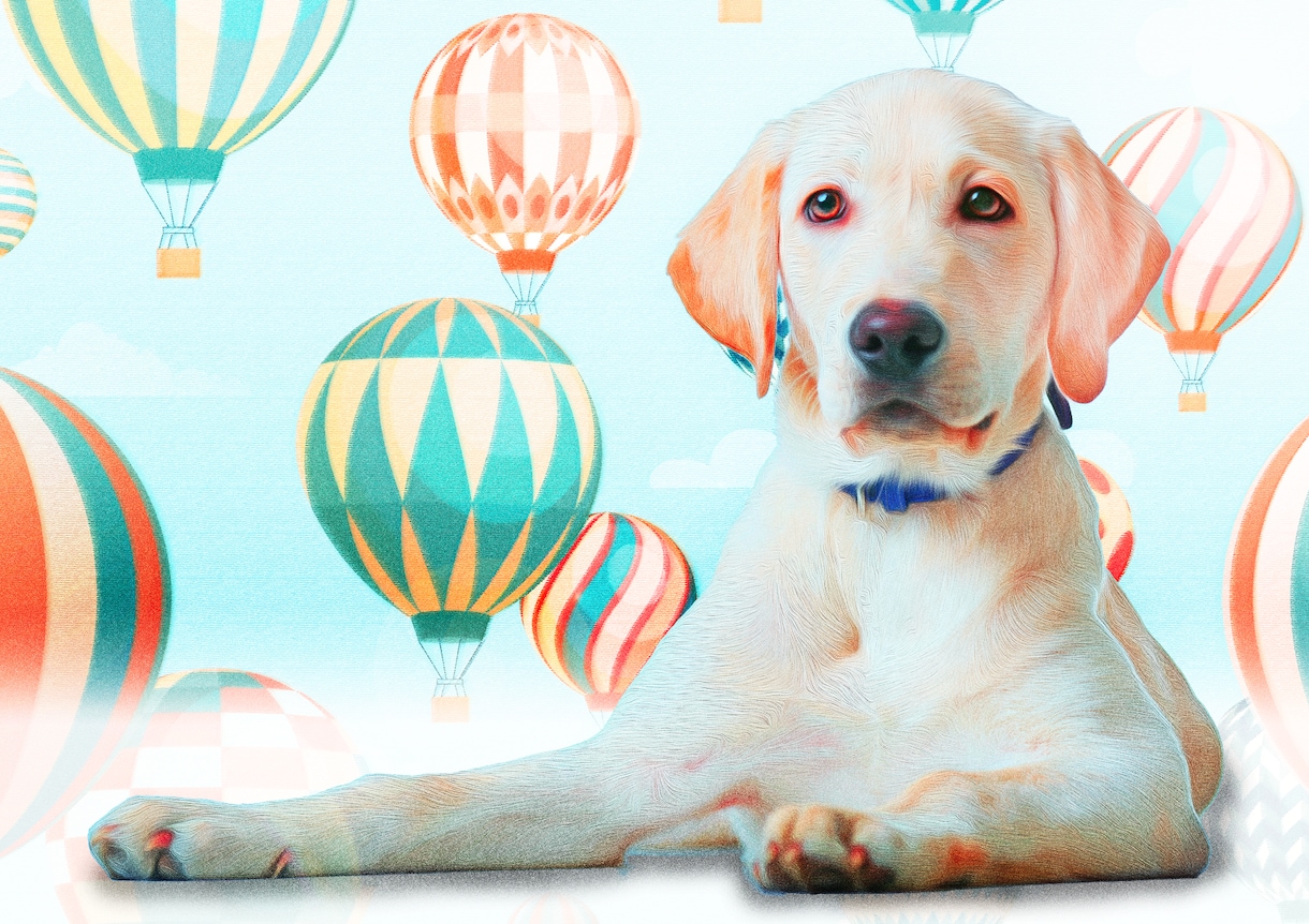猫、犬などペット写真合成加工します 猫、犬、インコ、動物ペットの写真をイラスト風に加工します♪ イメージ8
