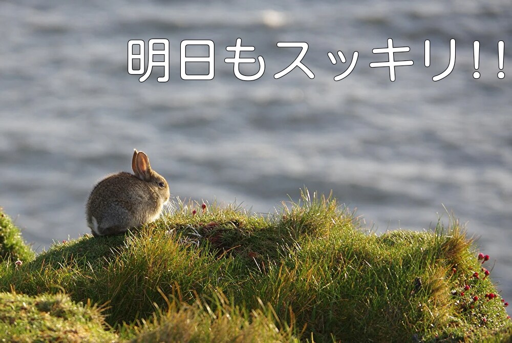 誰かと話したい方、短時間でも長時間でもお話聞きます 愚痴でも相談でも雑談でもただ怒りをぶつけたい人でもOKです！ イメージ4