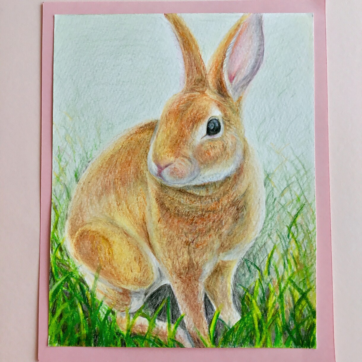 あなたのペットを色鉛筆で可愛く優しく描きます インスタでも描いた絵を沢山アップしています イメージ4