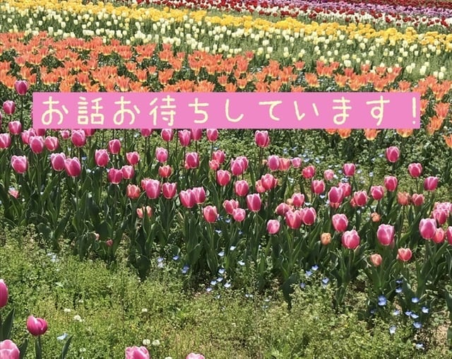 お孫さんや娘さんのようにお話下さい⭐︎寄り添います 雑談、世間話、愚痴、相談、何でも気楽にお話し下さい。 イメージ1