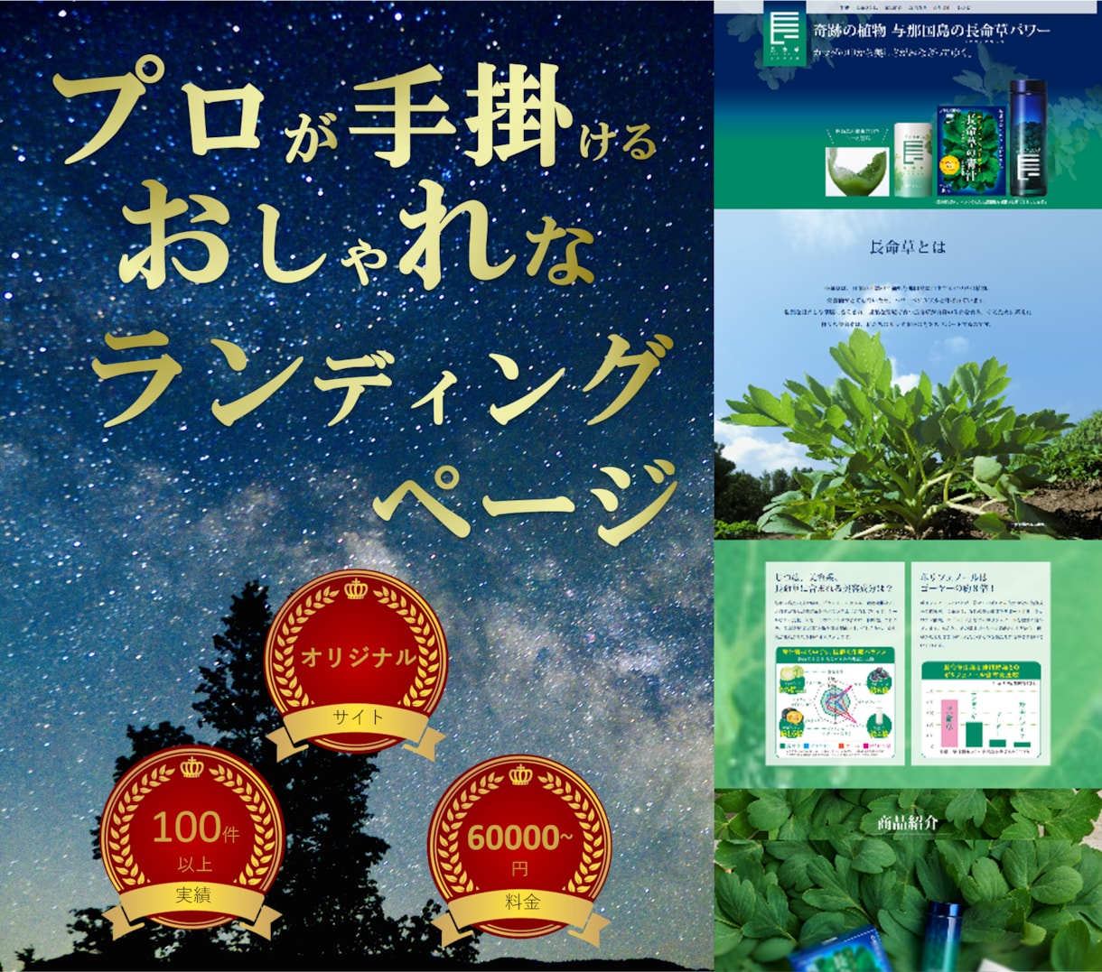 おしゃれでリーズナブル！こだわりのLP制作します オリジナルデザインでSEO対策済　納品後も安心サポート付！ イメージ1