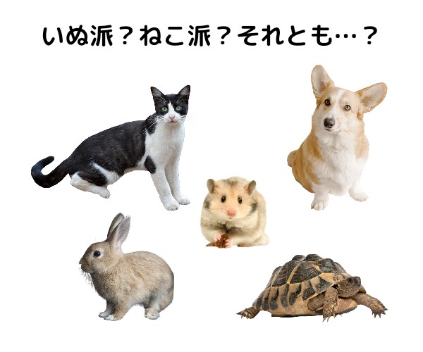学校が嫌！先生怖い！人が苦手！心の声を聞きます 心理師の私を、あなたの友だちにしてください☘️ イメージ4