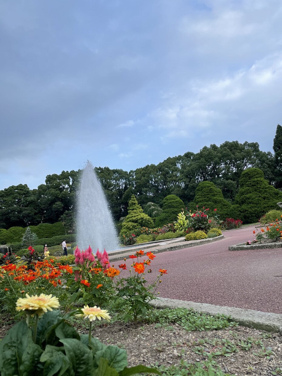 京都市内の観光地、穴場スポット写真代行致します 『コロナ禍でなかなか京都観光に行けない』という方に必見‼︎ イメージ5