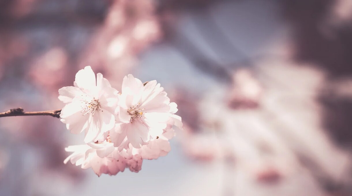 彼のトリセツを 1000文字程度で鑑定します あなたの幸せが叶うように言葉を紡ぎます イメージ10