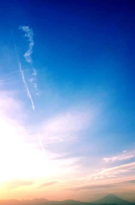 お相手のお気持ちをお伝え致します 思いの彼、彼女の気持ち伝えます。 イメージ2