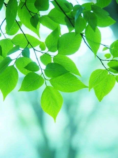 電磁波・化学物質過敏症の方のお悩みサポートします 急に匂いがキツくなったり電磁波が気になりだしたら イメージ2