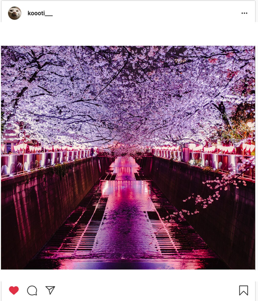 あなたの写真、インスタ映えにします 写真補正5枚1000円〜。こんなに安い価格設定は見たことない イメージ1