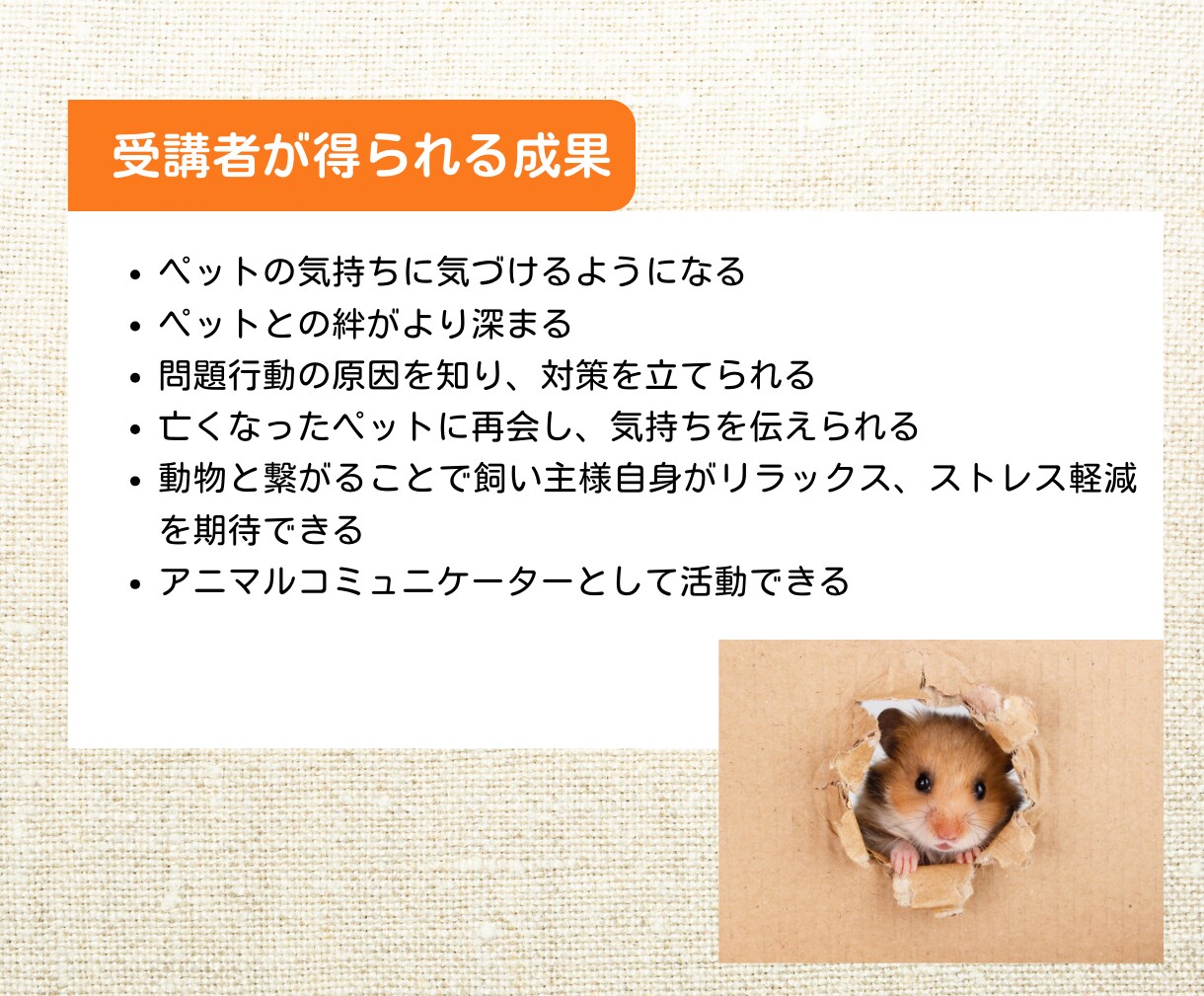 ペットと繋がるアニマルコミュニケーション講座します 愛するペットの声を聴きませんか？初心者でも可能な実践講座 イメージ7