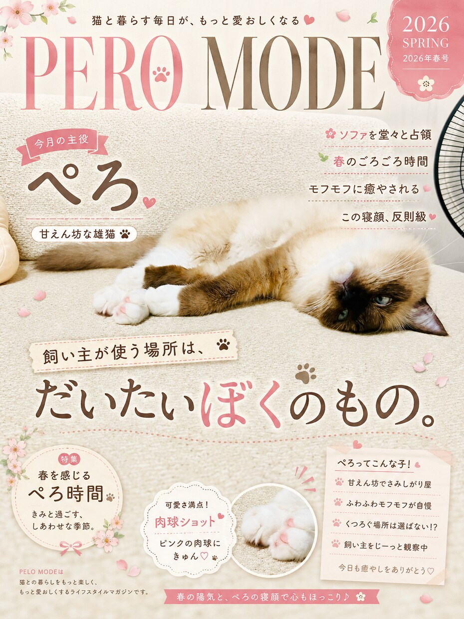 うちの子、雑誌デビューします ペット写真を表紙みたいな一枚に イメージ7
