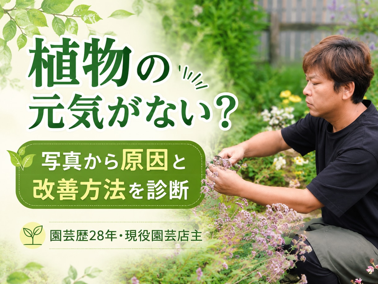 植物の写真から不調の原因と育て方を診断します 現役園芸店主が環境に合う改善方法を提案します イメージ1