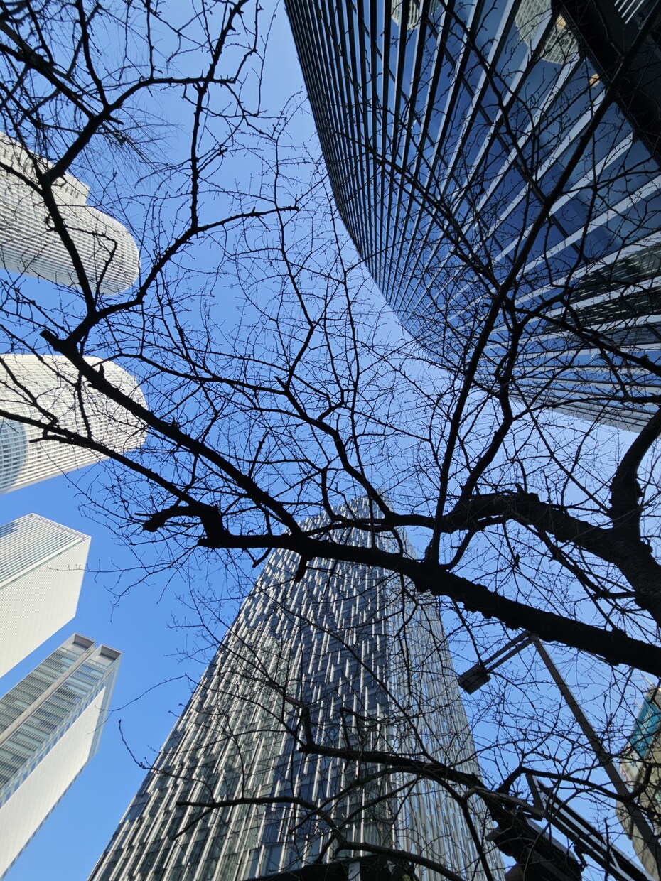 風景写真素材提供いたします 日本国内風景写真60000枚ほどございます。 イメージ4