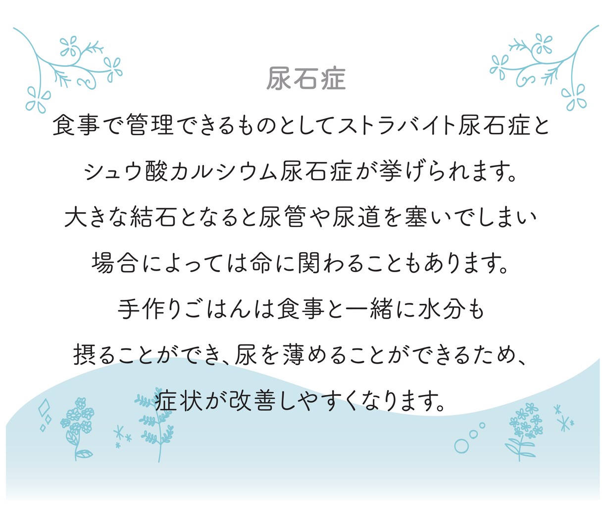 尿石症の子向けの手作りレシピ設計します 尿石症のわんちゃんねこちゃんのための手作りレシピを設計します イメージ2