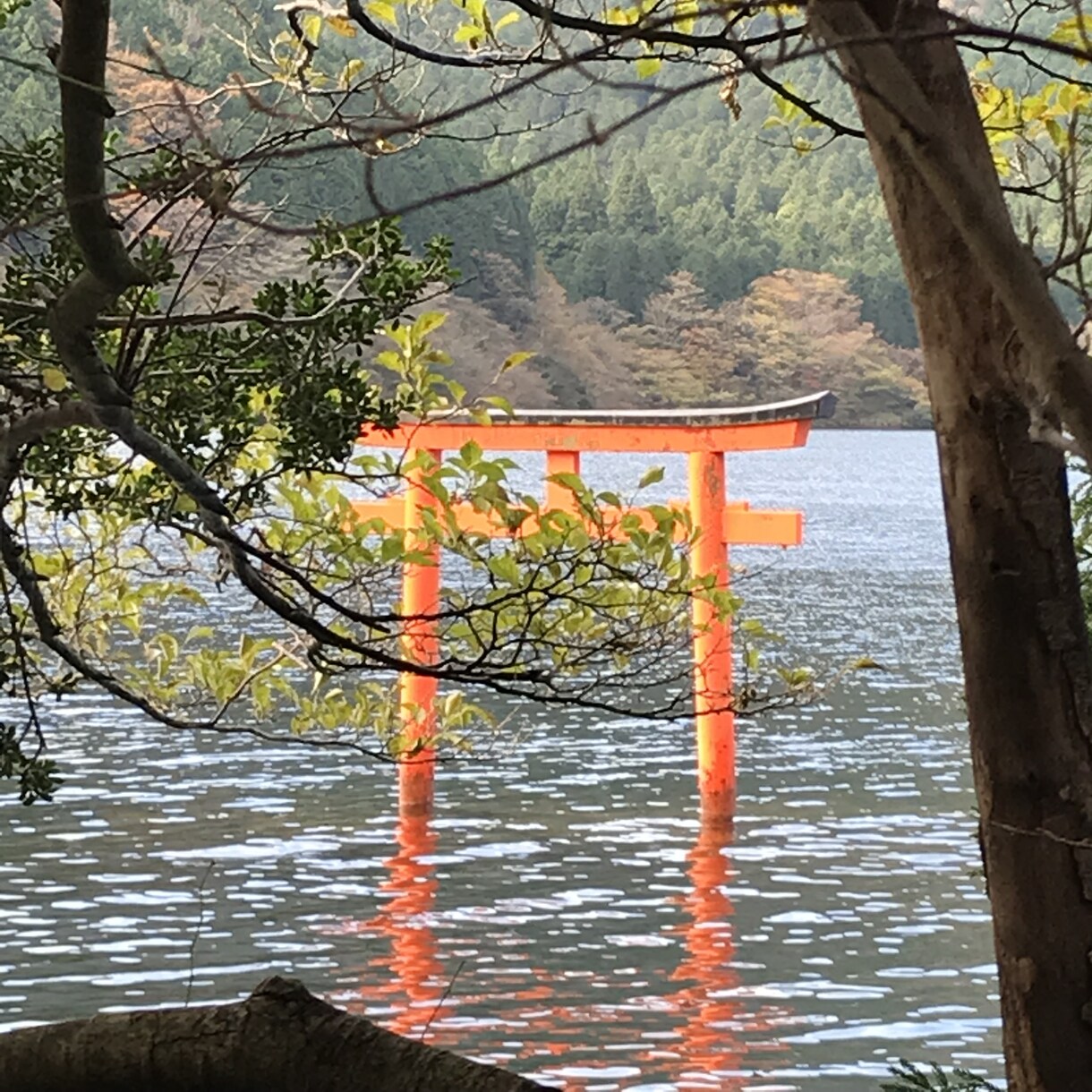 良縁の最強神社！箱根神社・九頭龍神社代理祈願します 白龍神社例大祭祈願☆事業運・良縁・家庭運に効果あり！ イメージ3