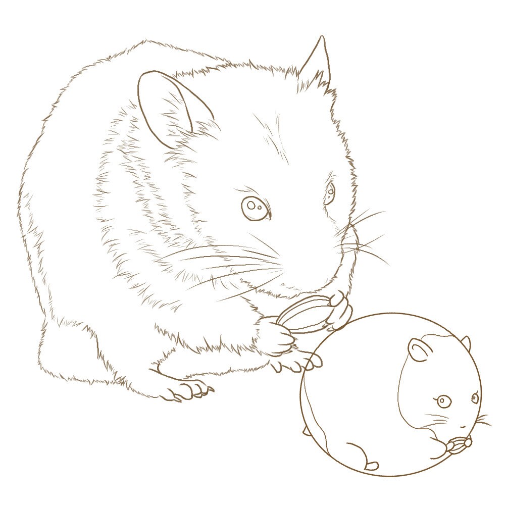 うちの子塗り絵お描きします ペットなどのお好きな動物を自分色で彩ってみませんか イメージ8