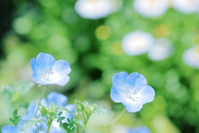 傾聴☆ほっと出来る場所を作ります 癒し・心の充電・明日への力・HSP・繊細・自己肯定感 イメージ7